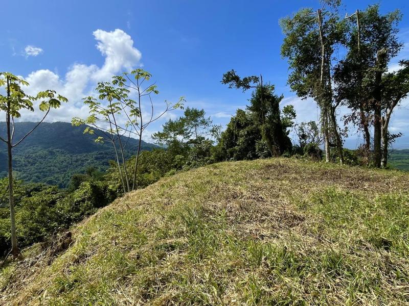 0 bed Lot/Land For Sale in Dominical,  - 1